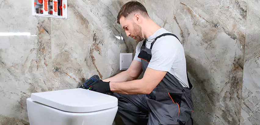 Scope of Bathroom Toilet Replacement Services in Lower Burrell, PA