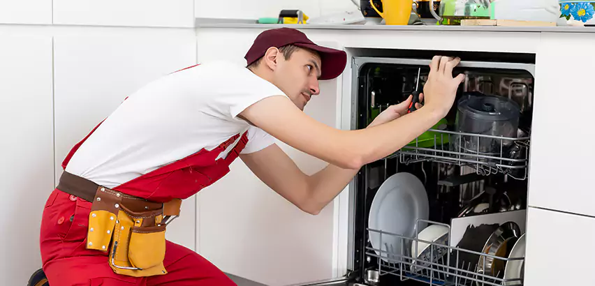 Scope of Kitchen Dishwasher Installation Services in Lower Burrell, PA