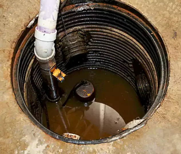 Get to Know Lower Burrell Drain Pro in Lower Burrell, PA
