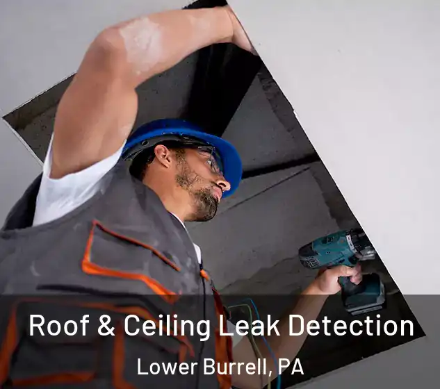  Roof & Ceiling Leak Detection Lower Burrell, PA