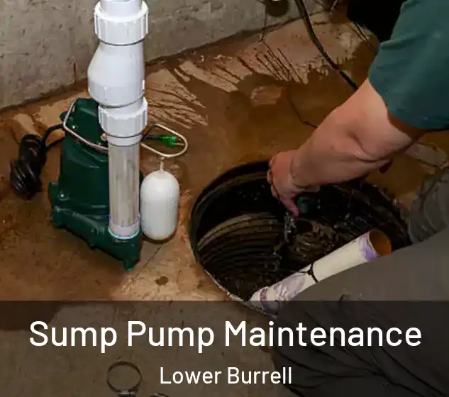  Sump Pump Maintenance Lower Burrell