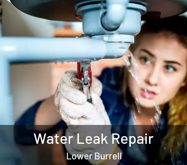  Water Leak Repair Lower Burrell
